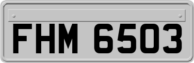 FHM6503
