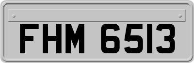 FHM6513