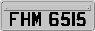 FHM6515