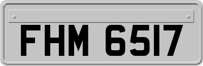 FHM6517