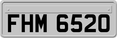 FHM6520