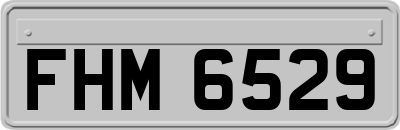 FHM6529