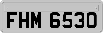 FHM6530