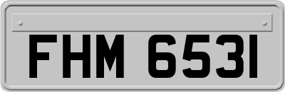FHM6531