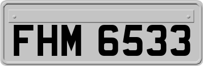 FHM6533