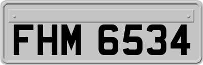 FHM6534