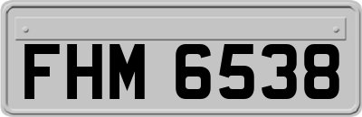 FHM6538
