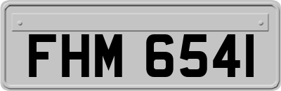 FHM6541