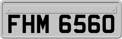FHM6560