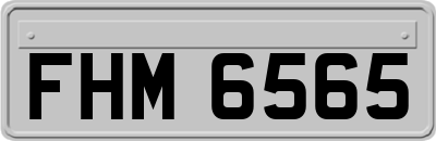 FHM6565