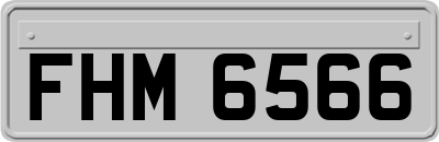 FHM6566