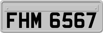 FHM6567