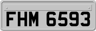 FHM6593