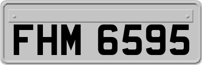 FHM6595