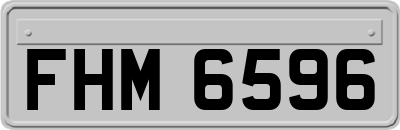 FHM6596