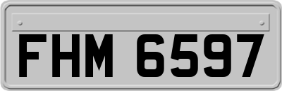 FHM6597