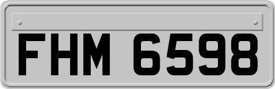 FHM6598