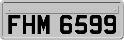 FHM6599