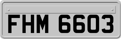 FHM6603