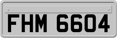 FHM6604
