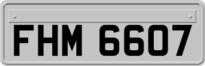 FHM6607