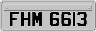 FHM6613