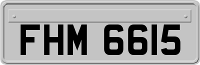 FHM6615