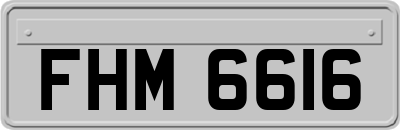 FHM6616