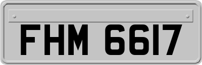 FHM6617
