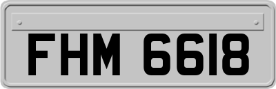 FHM6618
