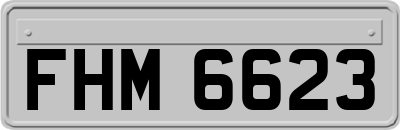 FHM6623