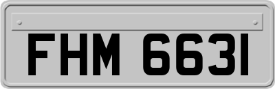 FHM6631
