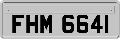 FHM6641