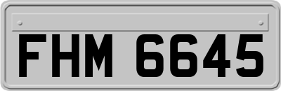 FHM6645