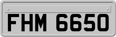 FHM6650