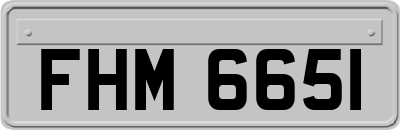 FHM6651