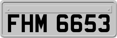 FHM6653