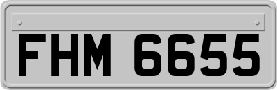 FHM6655