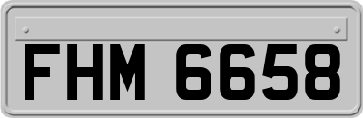 FHM6658