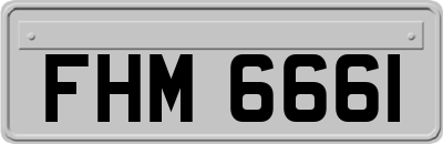 FHM6661
