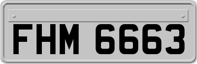 FHM6663