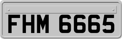 FHM6665