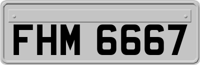 FHM6667