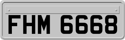 FHM6668