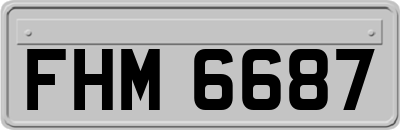 FHM6687
