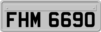 FHM6690