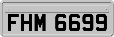FHM6699