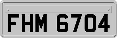 FHM6704