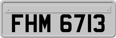 FHM6713