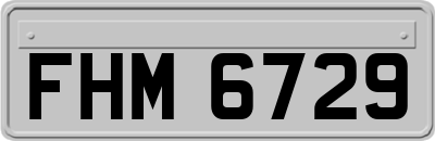 FHM6729